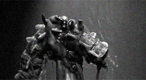 Gabriels Ord - Yes, that's a spine